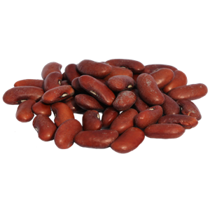 Kidney beans PNG-56907